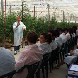 Clisol Turismo Agricola