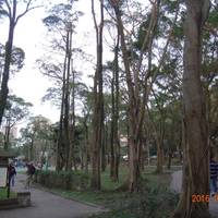 Zhongqiang Park