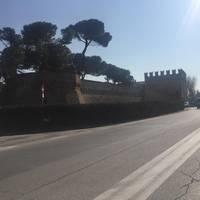 Mura Augustee