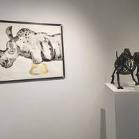 Gerhardt Braun Gallery
