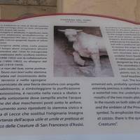 Fontana Del Toro