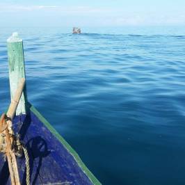 Friends Forever - Snorkelling & Boat Trips