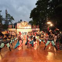 Yosakoi Matsuri