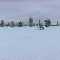 Lapland Safaris - Day Tours