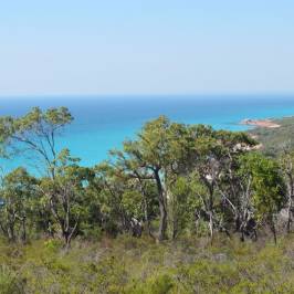 Meelup Reserve Trail