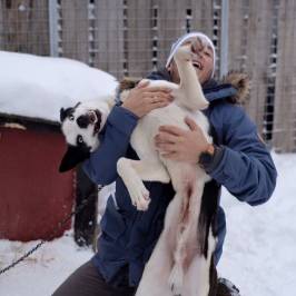Fagerlund Husky - Dog sledding Geilo