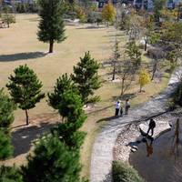 Saidaiji Ryokka Park