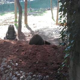 Zoo Guadalajara
