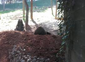Zoo Guadalajara