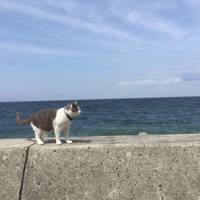 Kitanada Sea Station