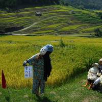 Inakura Rice Terraces