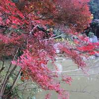 Sogen-ji Temple