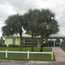 Mayo Howard Park