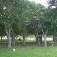 Modello Wayside Park