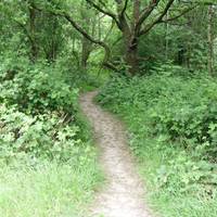 Epsom Common