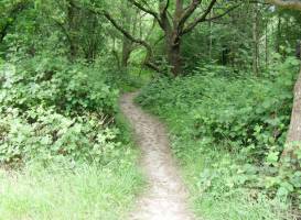 Epsom Common