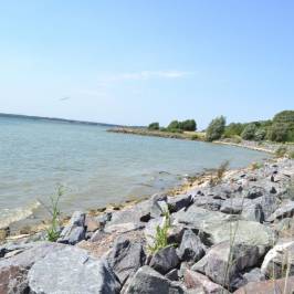 Grafham Water Park