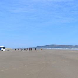 Oreti Beach