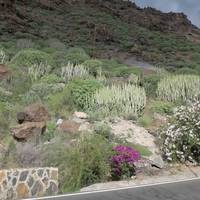 Barranco de Mogan