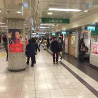 Sakae Mori no Chikagai
