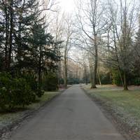 Waldfriedhof