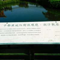 Zhongdu Wetlands Park