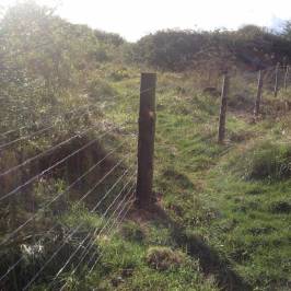 Twywell Hills and Dales