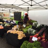 University District Farmers Market