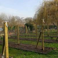 Jardin Botanique