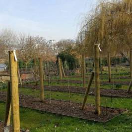 Jardin Botanique