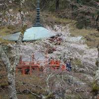 Daigo-ji Temple Bentendo