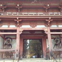 Daigo-ji Temple Niomon
