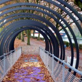Slinky Springs to Fame