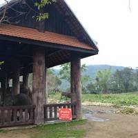 Luangprabang Elephant Camp