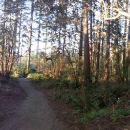 Hyland Forest Park