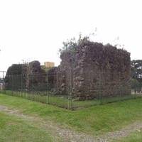 São Francisco Ruins