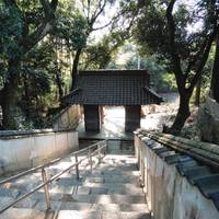 Fuse Shrine