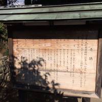 Korin-ji Temple