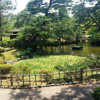 Rojo Park