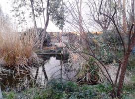Museo de Ciencies Naturals de Granollers