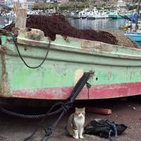Atami Port