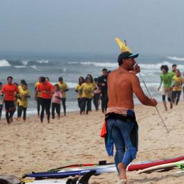 RedAnimal Surf Shop