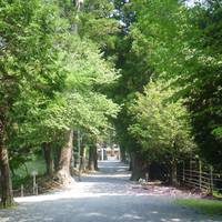 Anji Kamo Shrine
