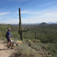 Desert Vista Trailhead