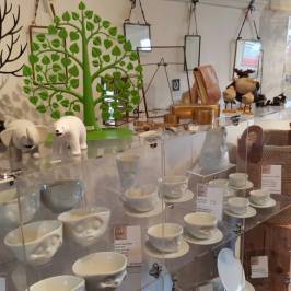 The Baobab Tree