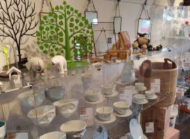 The Baobab Tree