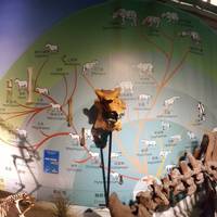 Tree Valley Life Science Museum