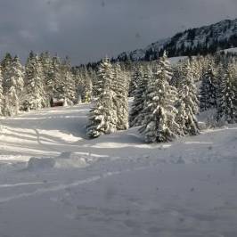 Bergbahnen Bad Hindelang Oberjoch