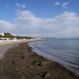 Lungomare Nazario Sauro