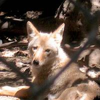 Sulphur Creek Nature Center